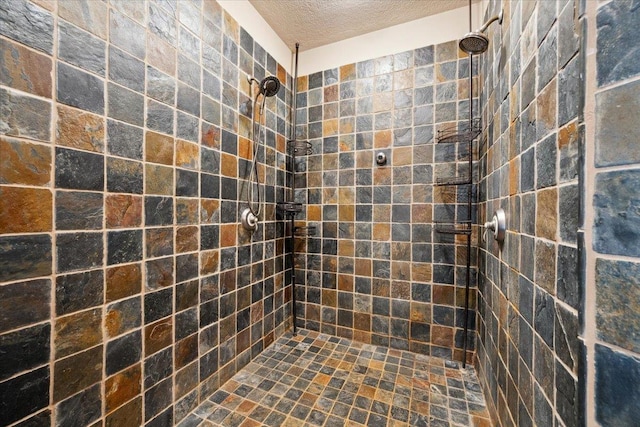 2040 Aster Rd, Spearfish, SD 57783 - full bath with a tile shower and a textured ceiling