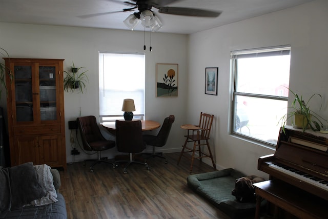 126 E Saint Andrew St, Rapid City, SD 57701 - dining space featuring healthy amount of natural light, wood finished floors, and ceiling fan