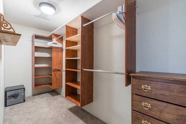 627 W Mt Rushmore Rd, Custer, SD 57730 - spacious closet with carpet flooring
