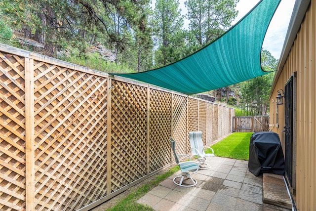 627 W Mt Rushmore Rd, Custer, SD 57730 - fenced backyard featuring area for grilling and a patio