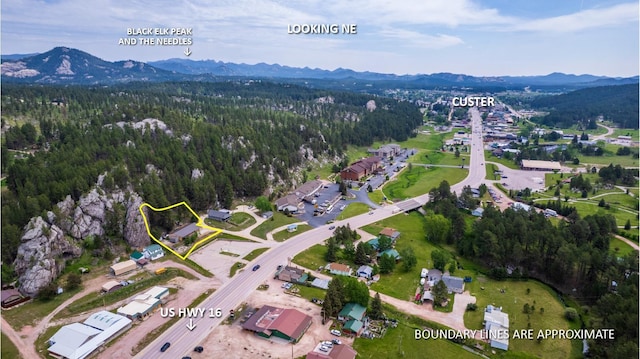 627 W Mt Rushmore Rd, Custer, SD 57730 - aerial overview of property's location featuring a mountainous background and a forest