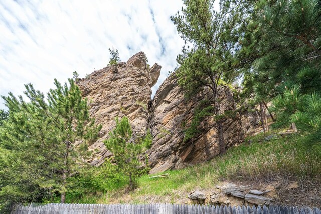 627 W Mt Rushmore Rd, Custer, SD 57730 - view of mountain background