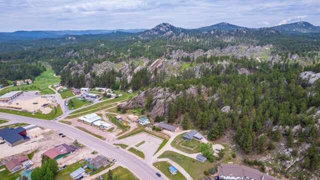 627 W Mt Rushmore Rd, Custer, SD 57730 - view of property location featuring mountains and a forest
