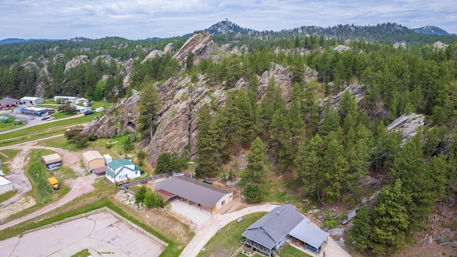 627 W Mt Rushmore Rd, Custer, SD 57730 - view of property location with a forest and a mountain backdrop