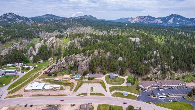 627 W Mt Rushmore Rd, Custer, SD 57730 - aerial view of property and surrounding area with a mountain backdrop