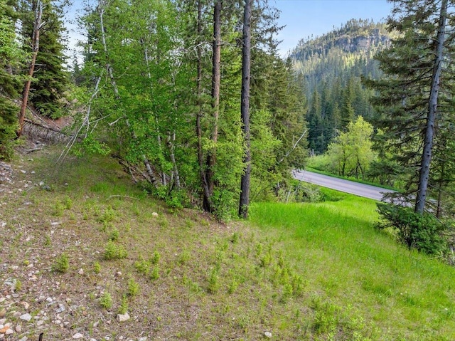 MS.1742LOT2 US Highway 14a, Lead, SD 57754