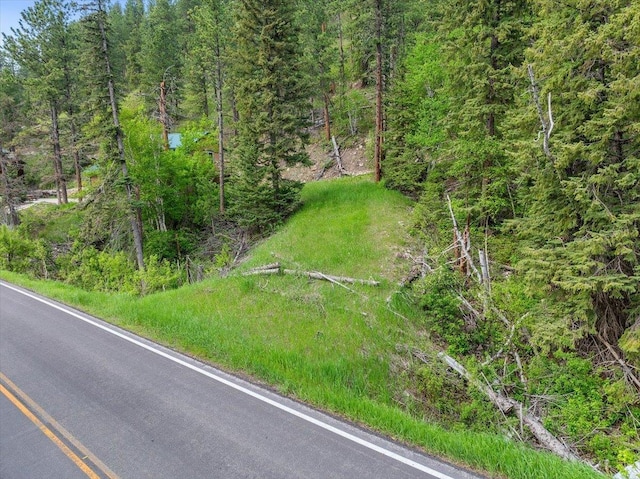 MS.1742LOT2 US Highway 14a, Lead, SD 57754
