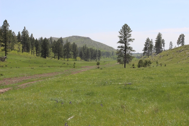 65.49ACRES Custer Limestone Rd, Custer, SD 57730