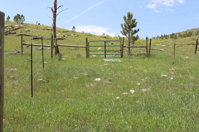 65.49ACRES Custer Limestone Rd, Custer, SD 57730