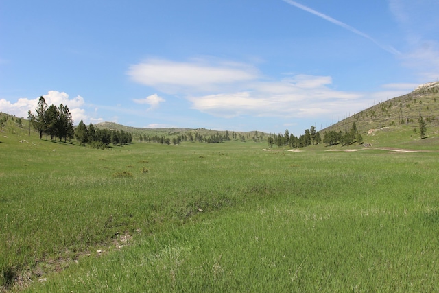 65.49ACRES Custer Limestone Rd, Custer, SD 57730