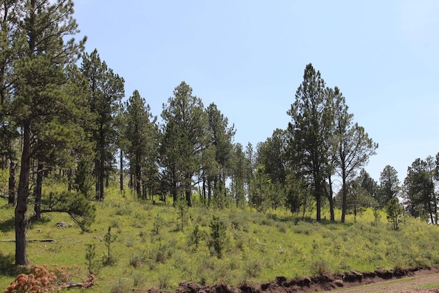 65.49ACRES Custer Limestone Rd, Custer, SD 57730