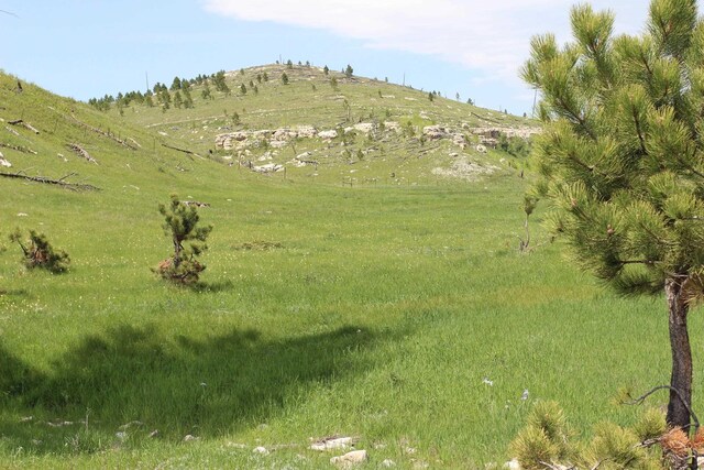 65.49ACRES Custer Limestone Rd, Custer, SD 57730