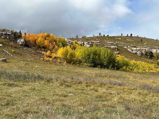 65.49ACRES Custer Limestone Rd, Custer, SD 57730