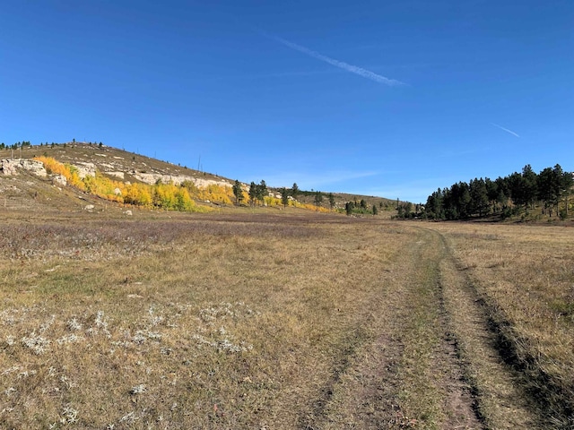 65.49ACRES Custer Limestone Rd, Custer, SD 57730