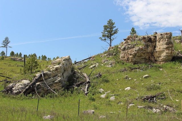 65.49ACRES Custer Limestone Rd, Custer, SD 57730