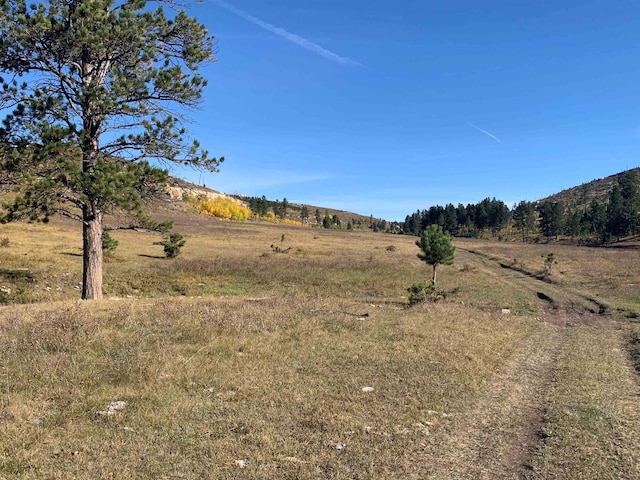 65.49ACRES Custer Limestone Rd, Custer, SD 57730