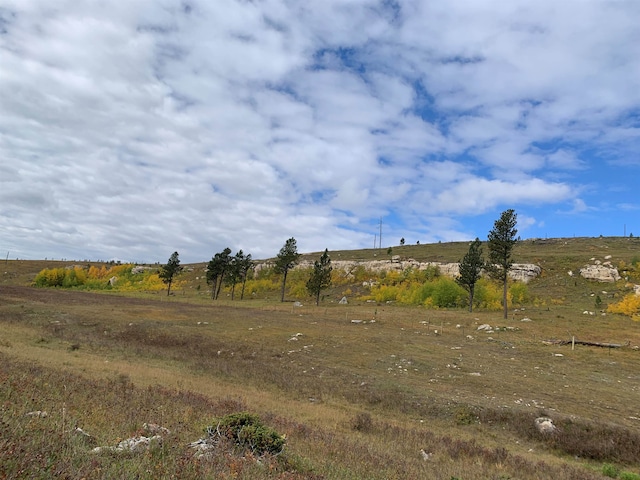 65.49ACRES Custer Limestone Rd, Custer, SD 57730