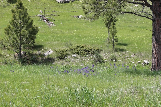 65.49ACRES Custer Limestone Rd, Custer, SD 57730