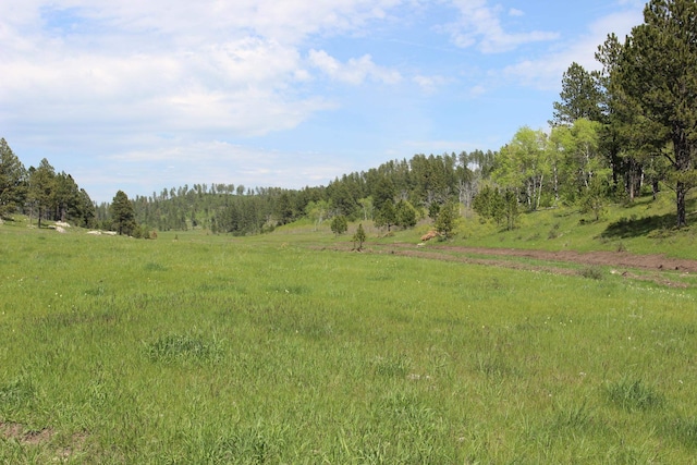 65.49ACRES Custer Limestone Rd, Custer, SD 57730