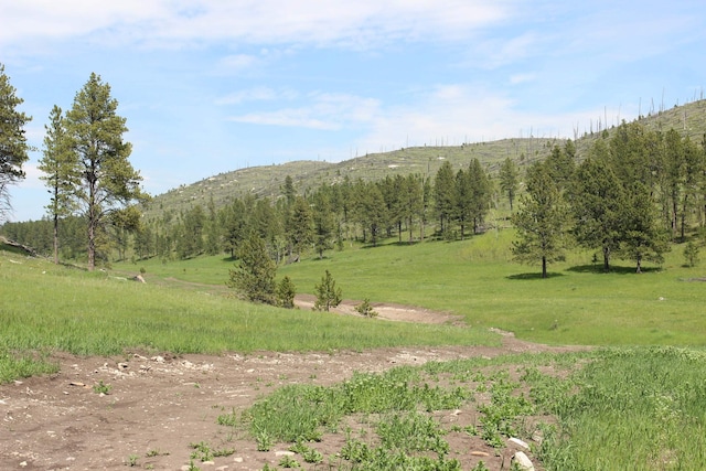 65.49ACRES Custer Limestone Rd, Custer, SD 57730
