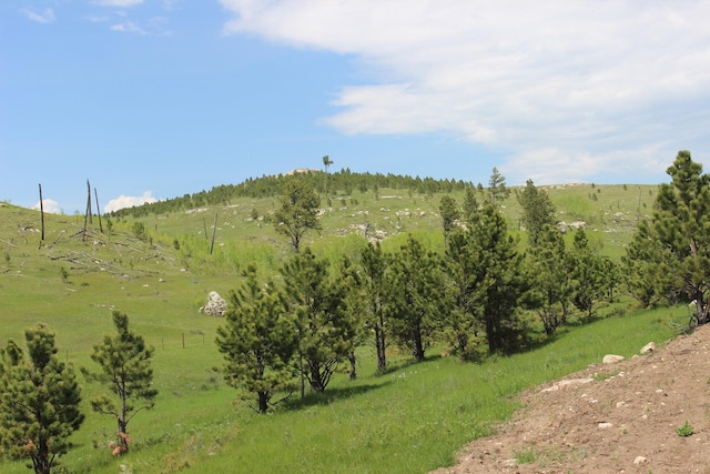 65.49ACRES Custer Limestone Rd, Custer, SD 57730