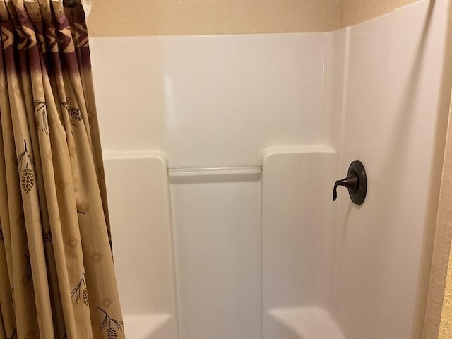 772 Stage Run Rd, Deadwood, SD 57732 - full bathroom with curtained shower