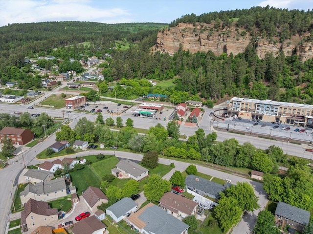 10 Crescent Dr, Deadwood, SD 57732 - aerial view of property's location with a forest