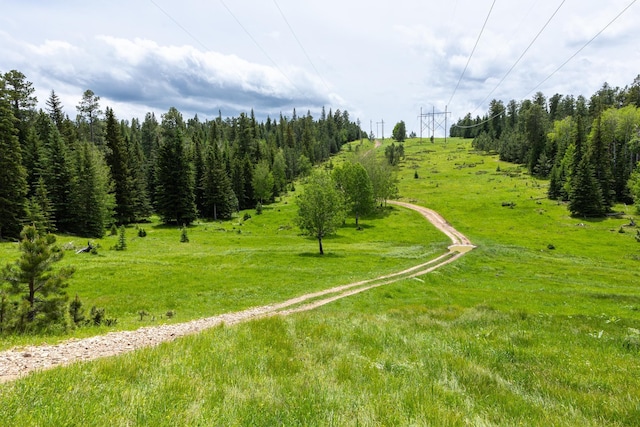 256.87ACRES Yellow Creek Rd, Lead, SD 57754