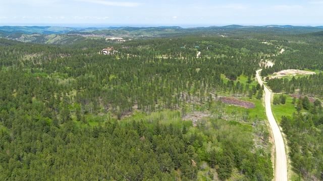 256.87ACRES Yellow Creek Rd, Lead, SD 57754