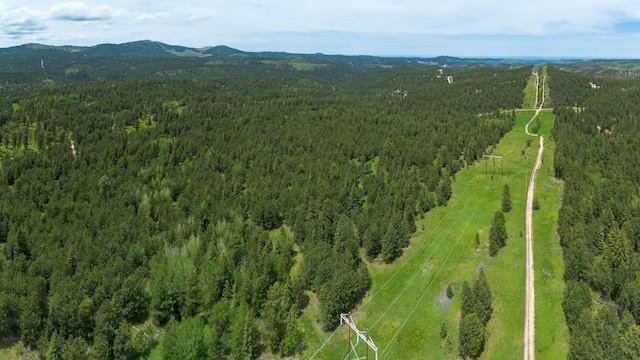 256.87ACRES Yellow Creek Rd, Lead, SD 57754