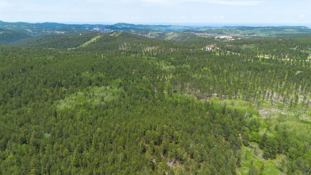 256.87ACRES Yellow Creek Rd, Lead, SD 57754