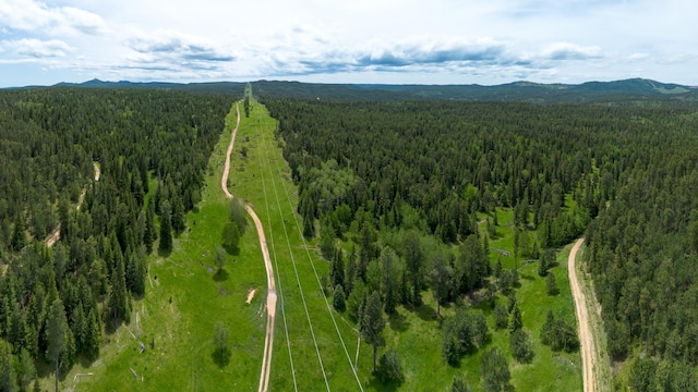 256.87ACRES Yellow Creek Rd, Lead, SD 57754