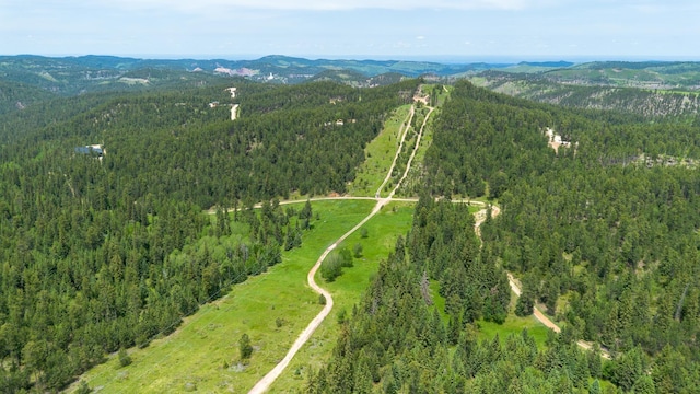 256.87ACRES Yellow Creek Rd, Lead, SD 57754