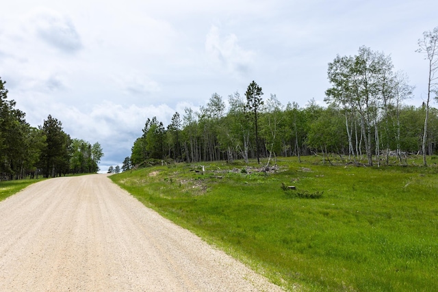 256.87ACRES Yellow Creek Rd, Lead, SD 57754