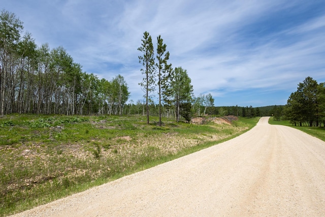 256.87ACRES Yellow Creek Rd, Lead, SD 57754