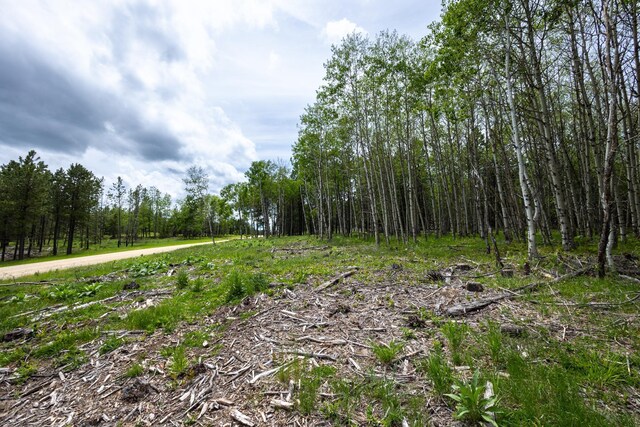 256.87ACRES Yellow Creek Rd, Lead, SD 57754