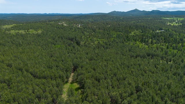 256.87ACRES Yellow Creek Rd, Lead, SD 57754