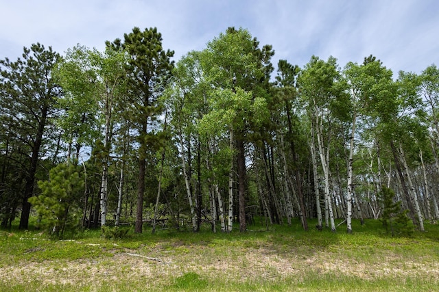 256.87ACRES Yellow Creek Rd, Lead, SD 57754