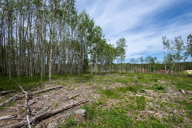 256.87ACRES Yellow Creek Rd, Lead, SD 57754