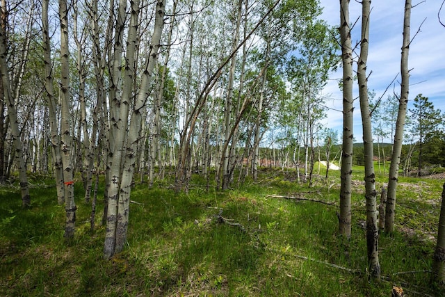 256.87ACRES Yellow Creek Rd, Lead, SD 57754