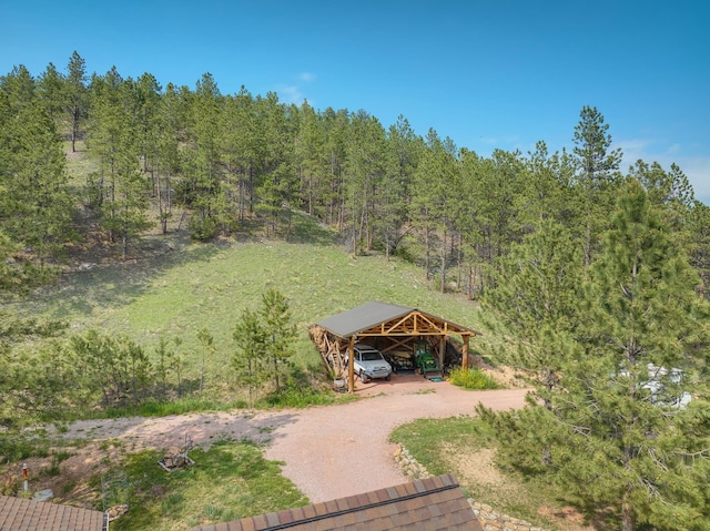 12817 Echo Rd, Hot Springs, SD 57747 - drone / aerial view of a forest