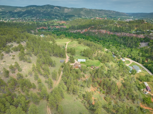 12817 Echo Rd, Hot Springs, SD 57747 - aerial overview of property's location with a heavily wooded area and a mountain backdrop