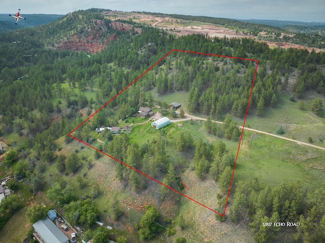 12817 Echo Rd, Hot Springs, SD 57747 - aerial view of property's location with property parcel outlined and a heavily wooded area