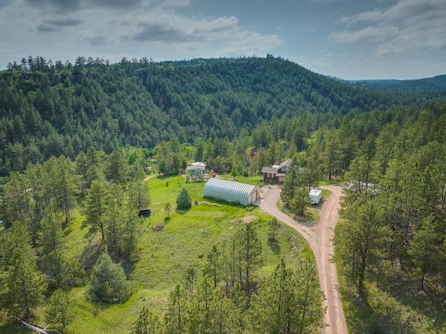 12817 Echo Rd, Hot Springs, SD 57747 - aerial overview of property's location featuring a forest