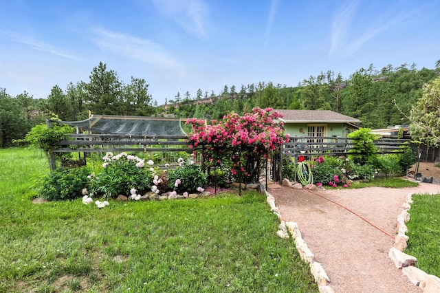 12817 Echo Rd, Hot Springs, SD 57747 - back of property