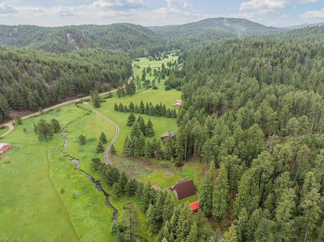 12425 Misty Ln, Nemo, SD 57759 - aerial overview of property's location featuring a heavily wooded area and a mountainous background
