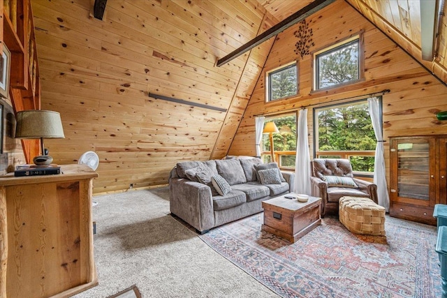 12425 Misty Ln, Nemo, SD 57759 - carpeted living room with wooden walls, lofted ceiling, and wood ceiling