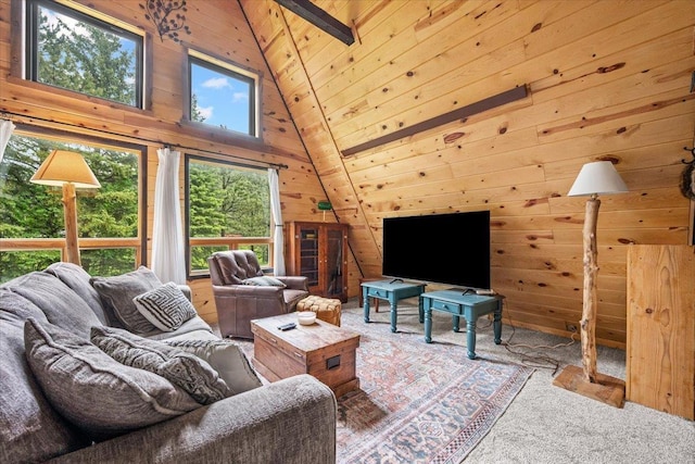 12425 Misty Ln, Nemo, SD 57759 - living room with wood walls and carpet