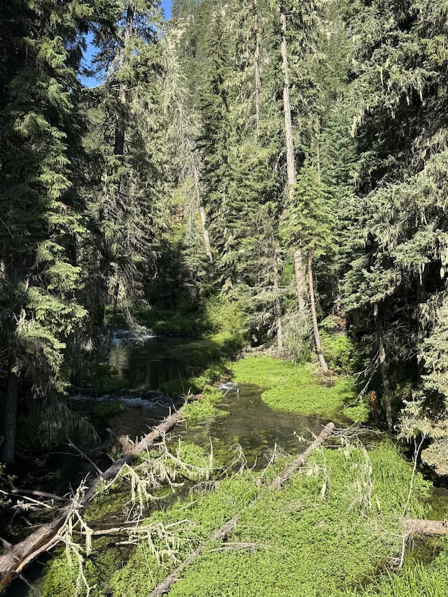 21454 US Highway 85, Lead, SD 57754 - view of tree filled area