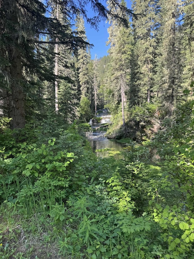 21454 US Highway 85, Lead, SD 57754 - view of woods